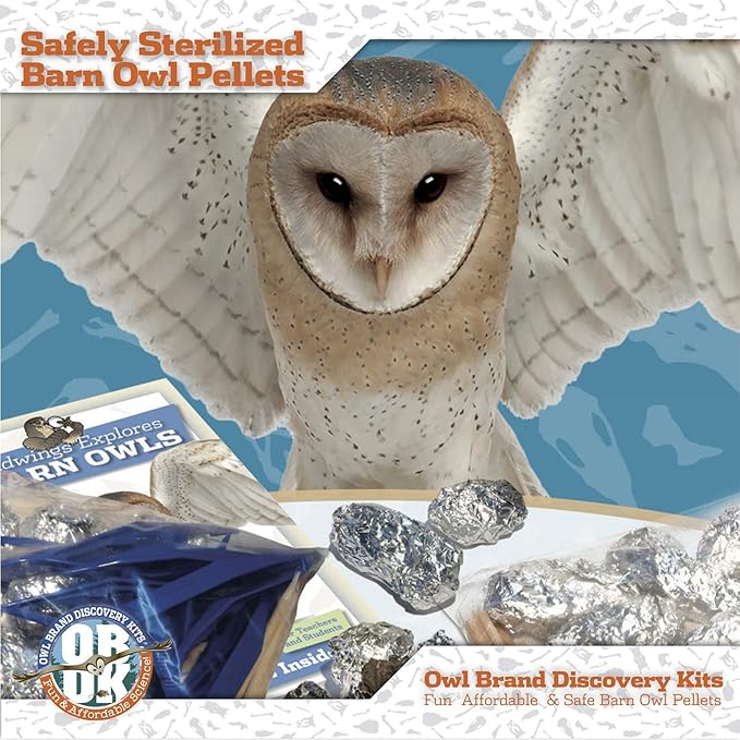 OBDK Barn Owl Pellets for Dissection - 1 Pack Medium Sized (1.5"-2.0") with Tools, Guide and Charts from Owl Brand Discovery Kits