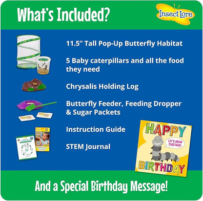 Insect Lore Birthday Butterfly Garden | Butterfly Growing Kit with Live Caterpillars | 5 Live Caterpillars, Reusable Habitat, STEM Butterfly Journal, 10 Inch Birthday Card & More