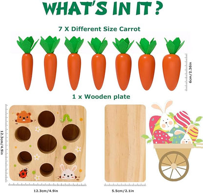 Montessori Toys for 1 Year Old, Montessori Baby Carrots Toy for 6-12 Months, Educational Wooden Carrot Harvest Game for Shape Sorting & Easter Toys, Birthday Gifts for Babies Boys Girls