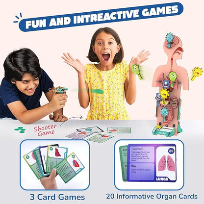Smartivity Human Body Model for Kids 6-12 Years | Learn Body Organs, Functions with Fun Card Games | Cool Birthday Gift for Boys & Girls | DIY STEM Science Toys for Kids 6,7,8,9,10,11,12 Years I