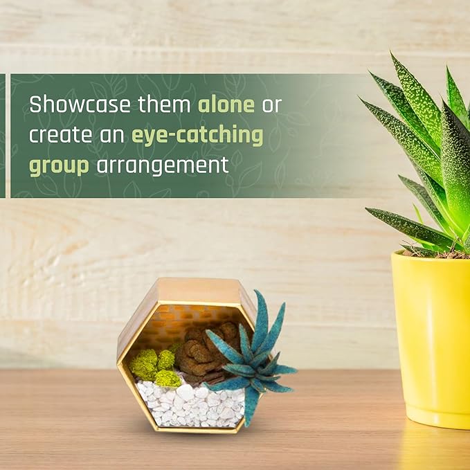 Craft Crush — Mini Plants Terrariums Easy Fun Arts and Craft Kit — Make 3 Charming Faux Terrariums! — For Ages 13 and Up