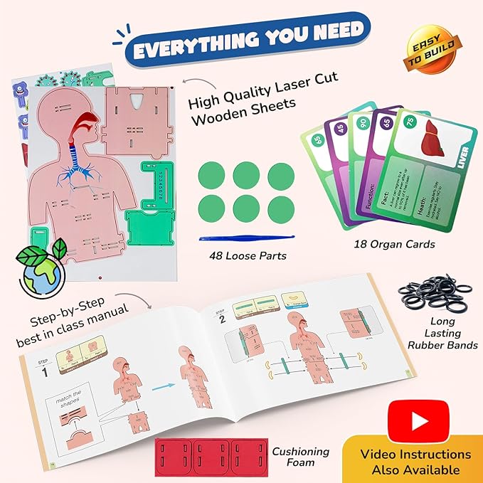 Smartivity Human Body Model for Kids 6-12 Years | Learn Body Organs, Functions with Fun Card Games | Cool Birthday Gift for Boys & Girls | DIY STEM Science Toys for Kids 6,7,8,9,10,11,12 Years I