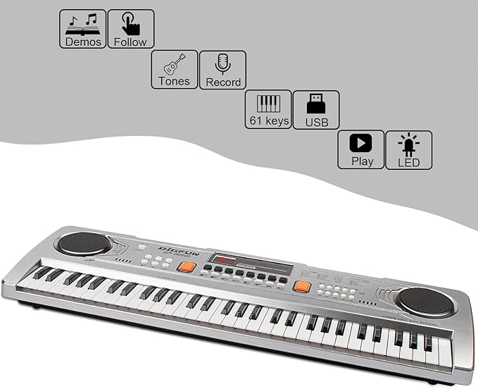 LeeQee Digital Keyboard Piano for Kids & Beginners, 61 Keys Multifunction Electric Piano Keyboard with Microphone, Educational Instrument Musical Toy for 3-12 Years Old Boys Girls (Silver)