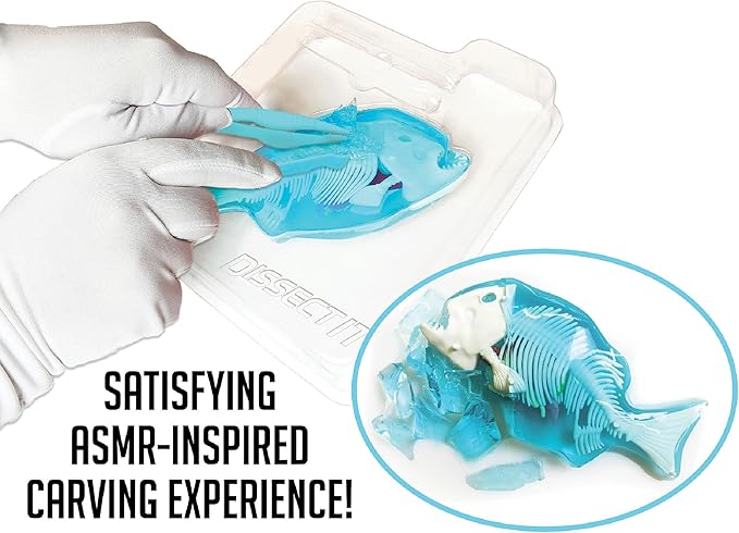 Dissect-It Simulated Synthetic Lab Dissection Toy, STEM Projects for Kids Ages 6+, Animal Science, Biology, Anatomy Home Learning Kit, Great for Young Scientists! - Piranha