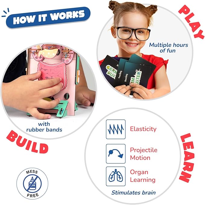Smartivity Human Body Model for Kids 6-12 Years | Learn Body Organs, Functions with Fun Card Games | Cool Birthday Gift for Boys & Girls | DIY STEM Science Toys for Kids 6,7,8,9,10,11,12 Years I