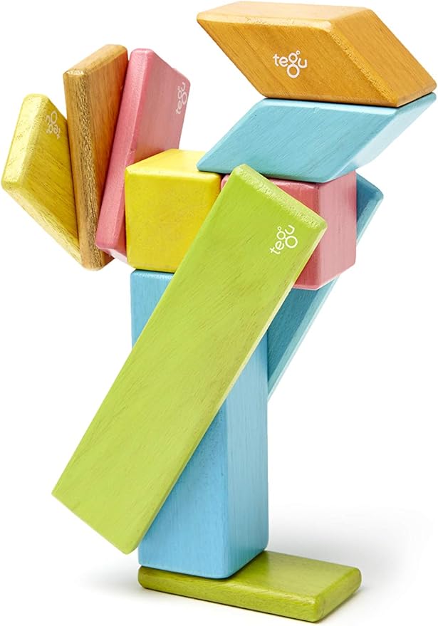Tegu 14 Piece Magnetic Wooden Block Set in Tints