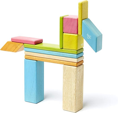 Tegu 14 Piece Magnetic Wooden Block Set in Tints