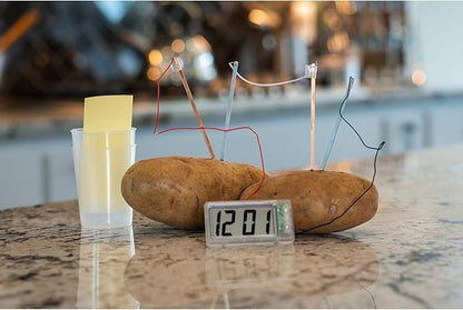 4M Potato Clock DIY Green Science Chemistry Engineering Lab - STEM Toys Educational Gift for Kids & Teens, Girls & Boys, Brown
