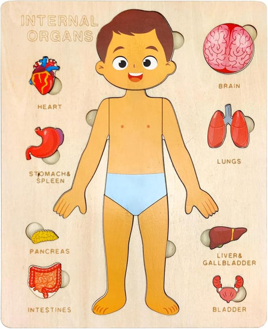 Wooden Body Puzzles for Kids, Toddler Montessori 14 Pieces Boy Anatomy Puzzle, Human Body Learning Toy with Internal Organs Early STEM Educational Toy for Boys and Girls Ages 3 4 5 6 Years Old