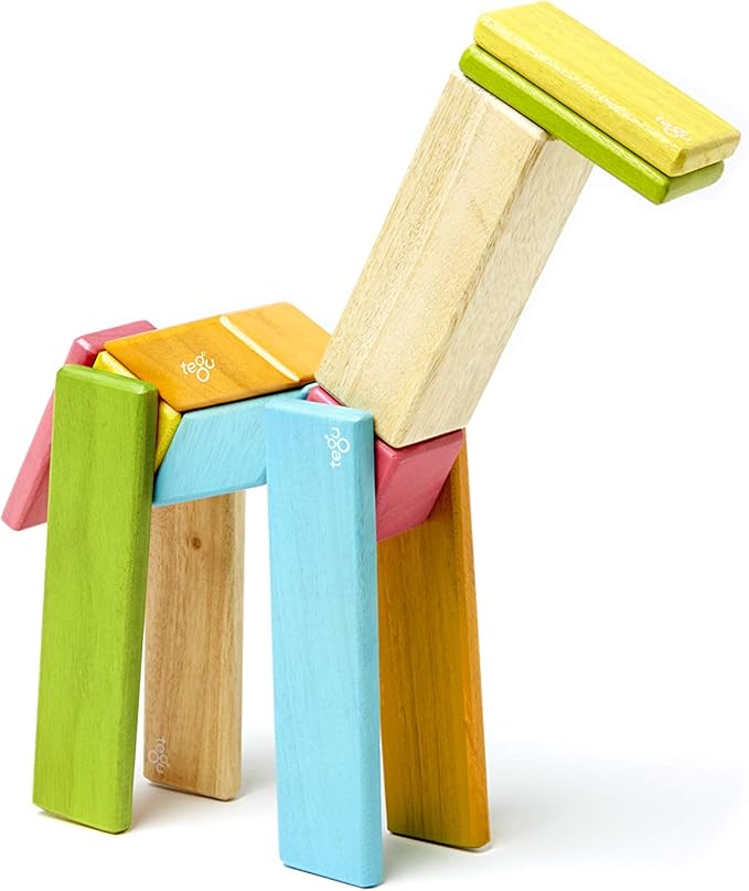 Tegu 14 Piece Magnetic Wooden Block Set in Tints
