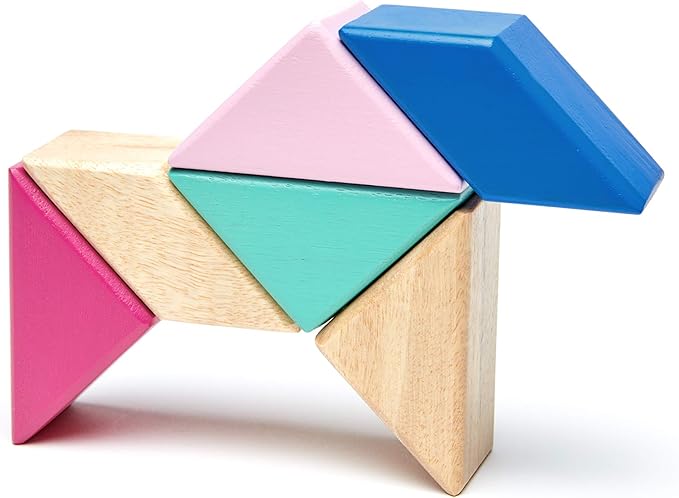 6 Piece Tegu Pocket Pouch Prism Magnetic Wooden Block Set, Blossom