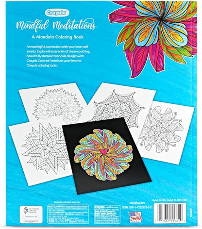 Crayola Color and Erase Reusable Activity Board, Gift for Kids, Ages 3, 4, 5, 6