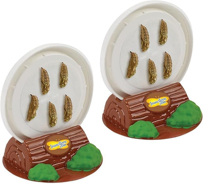 Insect Lore Butterfly Garden with Two Cups of Live Caterpillars | Original Habitat, STEM Journal, Chrysalis Holding Logs, 10 Live Baby Caterpillars | Painted Lady Butterflies | Life Science Education