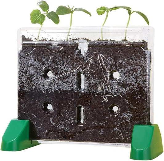 Educational Insights Sprout & Grow Window Plant Growing Kit, Science Kit for Homeschool & Classrooms, Ages 5+