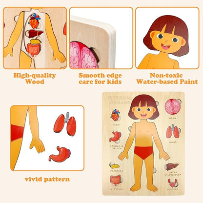 Wooden Body Puzzles for Kids, Toddler Montessori 14 Pieces Girl Anatomy Puzzle, Human Body Learning Toy with Internal Organs Early STEM Educational Toy for Boys and Girls Ages 3 4 5 6 Years Old