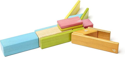 Tegu 14 Piece Magnetic Wooden Block Set in Tints