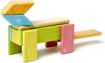 Tegu 14 Piece Magnetic Wooden Block Set in Tints