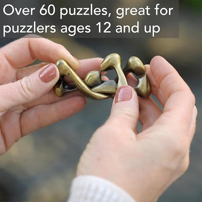 BePuzzled |Coil Hanayama Metal Brainteaser Puzzle Mensa Rated Level 3, for Ages 12 and Up