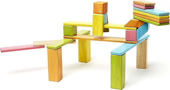 24 Piece Tegu Magnetic Wooden Block Set, Tints, 1-99 years old