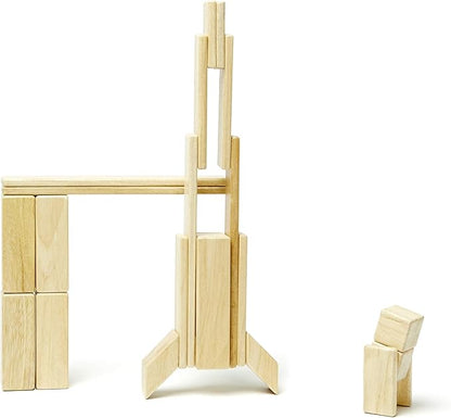 24 Piece Tegu Magnetic Wooden Block Set, Natural, 1-99 years old