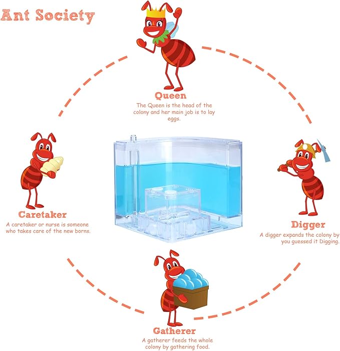 NAVADEAL Ant Farm Castle Experiment and Toy Allows Study of Social Structure, Architecture, Ecosystem, and The Behavior of Ants Within The 3D Maze of Translucent Gel