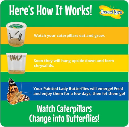 Insect Lore Birthday Butterfly Garden | Butterfly Growing Kit with Live Caterpillars | 5 Live Caterpillars, Reusable Habitat, STEM Butterfly Journal, 10 Inch Birthday Card & More