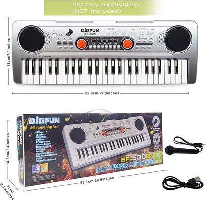Raimy Piano Keyboard for Kids 49 Keys Portable Keyboard Piano Early Learning Educational Electronic Musical Instrument Toys Gifts for 3 4 5 6 7 8 9 Year Old Boys and Girls (Silver)
