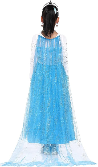 Princess Dress Fancy Costume for Girls Birthday Party Dress Up Cosplay with Wig Gloves Jewelry Cloak Purse Crown Wand Blue