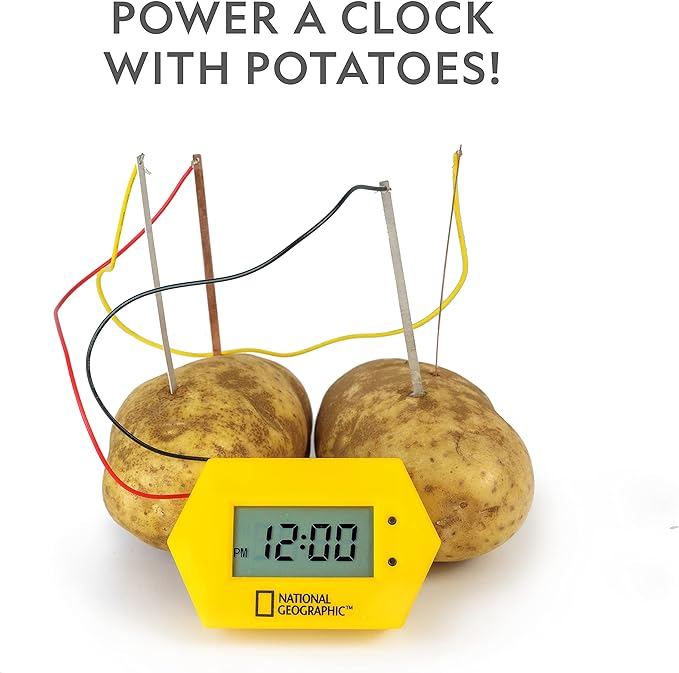 NATIONAL GEOGRAPHIC Battery Making Kit - Potato Clock and Penny Powered Flashlight Science Kit, 2 Electricity STEM Projects for Kids, Electrical Circuit Toy for Boys and Girls (Amazon Exclusive)