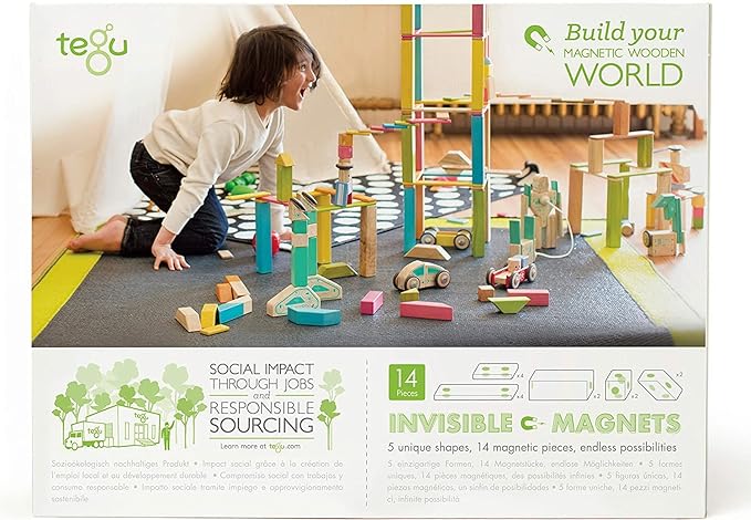 Tegu 14 Piece Magnetic Wooden Block Set in Tints