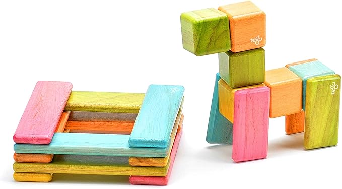 26 Piece Tegu Discovery Magnetic Wooden Block Set,1-99 years old, Tints