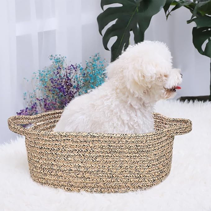ABenkle Small Basket with Handles - Decorative Durable Rope Woven Storage Bin Shelf Storage Organizer Cube, Easter Baby Gift Basket, 12"x8"x5"