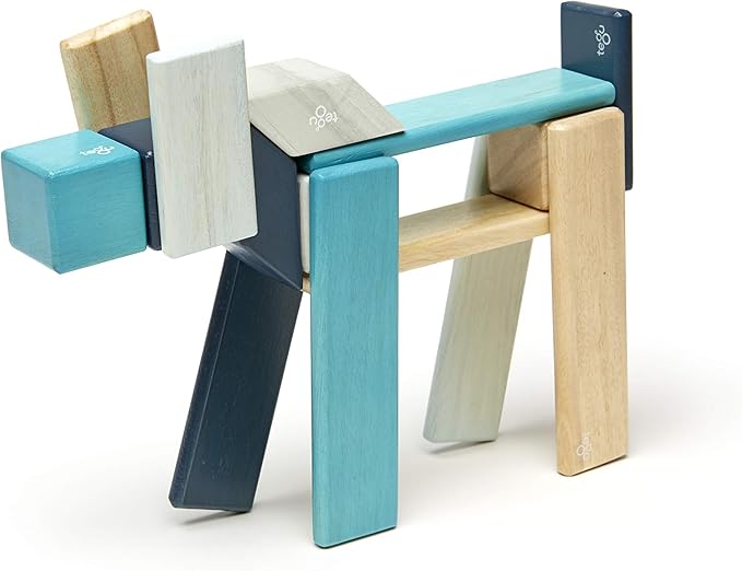 24 Piece Tegu Magnetic Wooden Block Set, Blues, 1-99 years old