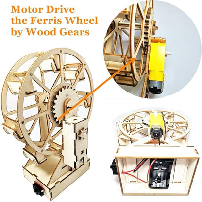 Electric Wooden Ferris Wheel Building Kit - DIY STEM Educational Toys for Girls and Boys - 3D Working Construction Scientific Model Kits - Engineering Assembly Project for Kids, Teens & Adults