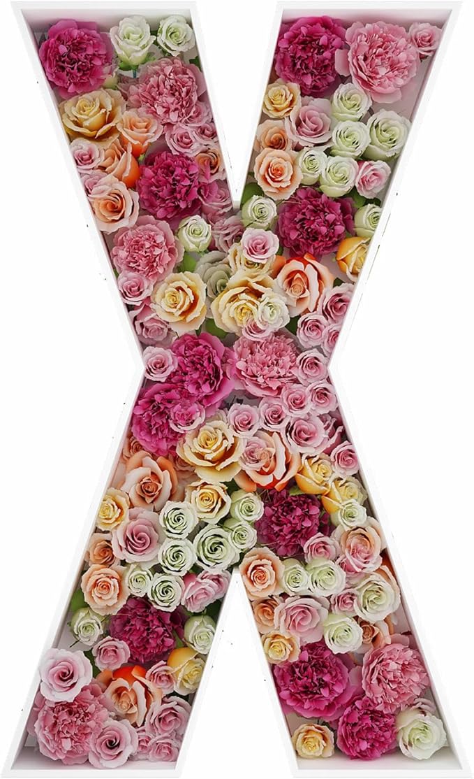 2FT Letter X Mosaic Balloon Frame Letter DIY Fillable Letters Kit for Birthday Party Wedding Backdrop Decor