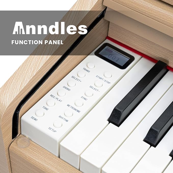 Digital Piano Keyboard for Beginners & Professionals, Electric Piano with Sliding Cover Design, 88 Keys Digital Piano Headphone Jack,Three Pedal （No Piano Bench ）