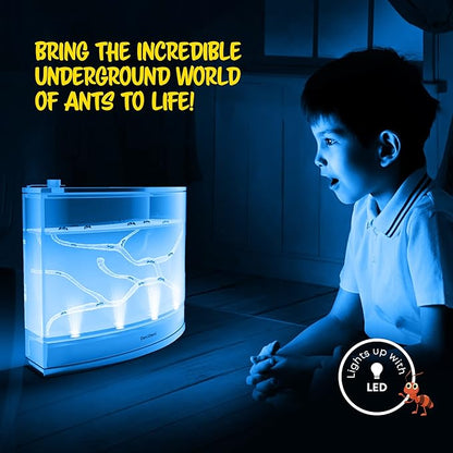 Light-up Ant Farm Terrarium Kit for Kids – LED Habitat for Live Ants with Nutrient Rich Gel - Watch Them Dig Their Own Tunnels - Nature Learning, Science Toys, Experiment Gift for Boys & Girls
