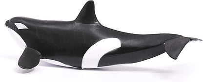 Schleich Wild Life, Animal Figurine, Animal Toys for Boys and Girls 3-8 Years Old, Killer Whale, Ages 3+