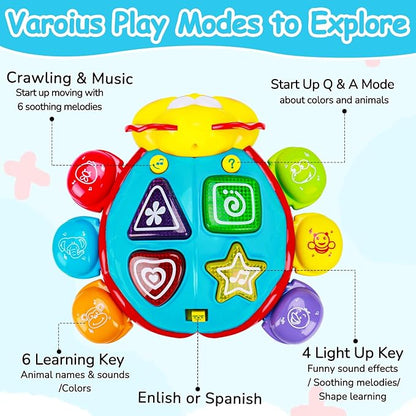Baby Crawling Toys 6-12 Months, Musical Light Up Tummy Time Toy for Infant 0-6 7 8 9 10 Month Old, Toddler Spanish English Bilingual Learning Educational Development Gift 1 2 Year Old Boys Girls