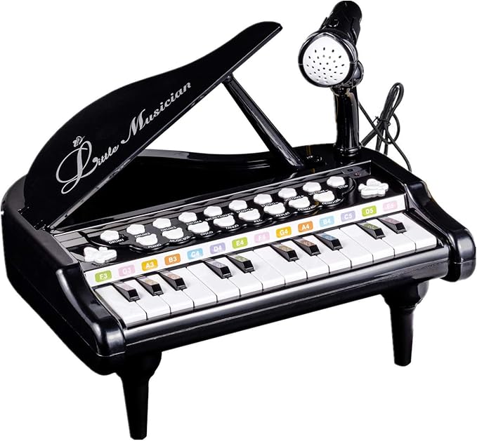 Love&Mini Toddler Piano - 24 Keys Black Baby Piano Toys with Microphone, Birthday Gifts for 3+ Year Old Girls and Boys