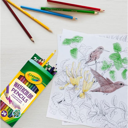 Crayola Watercolor Colored Pencils (24ct), Watercolor Paint Alternative, Watercolor Pencil Set for Kids, Art Supplies, Gift for Kids, 3+