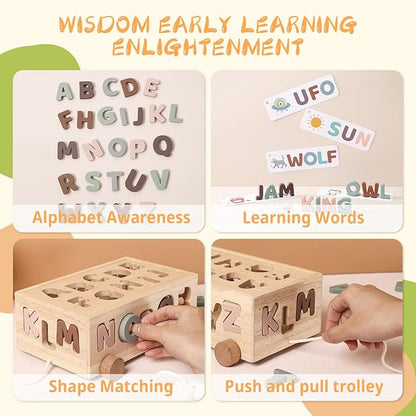 Montessori Shape Sorter Toys for Toddler 1-3, Silicone Alphabet Letters Baby Puzzles & Flash Cards, Fine Motor Skills Preschool Learning Toys, Activities Birthday Gift for 1 2 3 Years Old Boys Girls