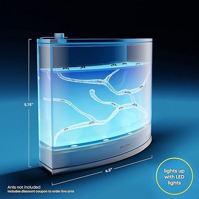 Light-up Ant Farm Terrarium Kit for Kids – LED Habitat for Live Ants with Nutrient Rich Gel - Watch Them Dig Their Own Tunnels - Nature Learning, Science Toys, Experiment Gift for Boys & Girls