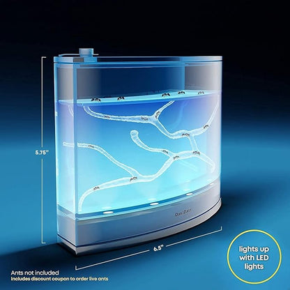 Light-up Ant Farm Terrarium Kit for Kids – LED Habitat for Live Ants with Nutrient Rich Gel - Watch Them Dig Their Own Tunnels - Nature Learning, Science Toys, Experiment Gift for Boys & Girls