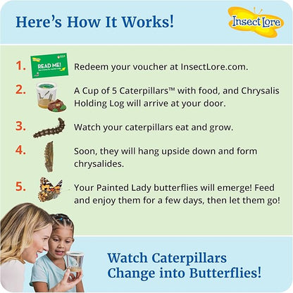 Insect Lore Giant Butterfly Garden with Voucher | 18 Inch Habitat | Life Cycle Figurines Included | Voucher to Redeem 5 Baby Caterpillars Later | Raise Painted Lady Butterflies