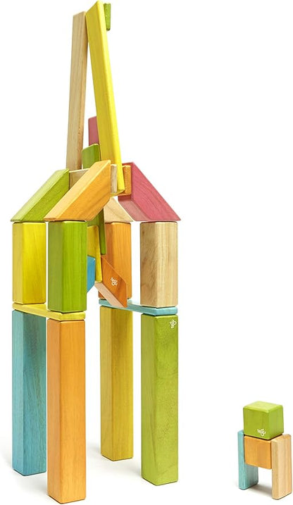 42 Piece Tegu Magnetic Wooden Block Set, Tints, 1-99 years old
