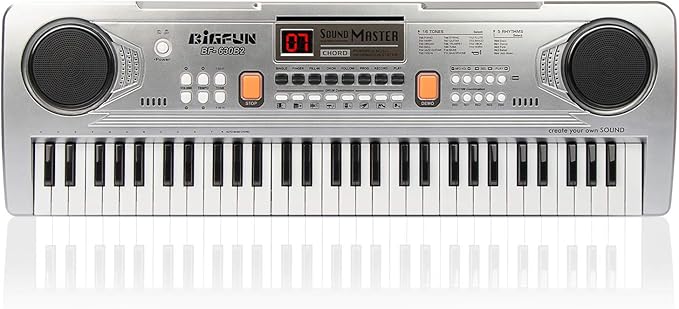 LeeQee Digital Keyboard Piano for Kids & Beginners, 61 Keys Multifunction Electric Piano Keyboard with Microphone, Educational Instrument Musical Toy for 3-12 Years Old Boys Girls (Silver)
