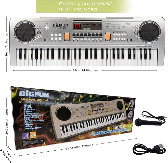 Raimy Piano Keyboard for Beginners, 61 Keys Portable Electronic Digital Piano with Microphone, Learning Educational Music Keyboard Piano for Kids Gifts Toys for Boys Girls Toddlers (Silver)