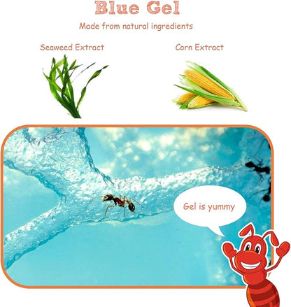 NAVADEAL Ant Farm Castle 2.0 with Connecting Tube, Ant Habitat Science Learning Kit, Best STEM 2021 Educational Kids Toy, Study Insect Behavior at Home & School, Plant Based Blue Gel 3D Maze Ecosystem