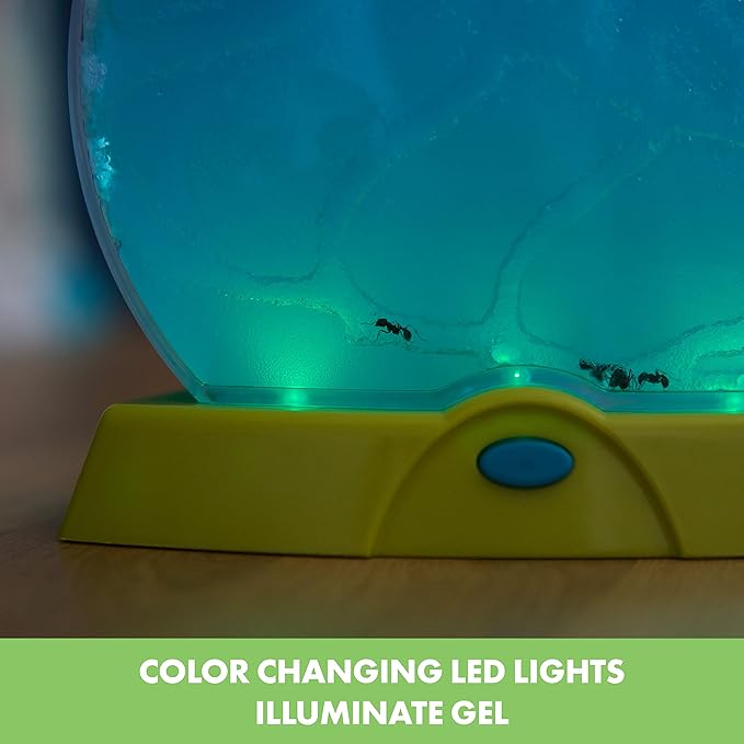 Educational Insights GeoSafari Day 'N' Night Ant Factory (Glow Ant Factory) STEM Learning, Ages 7+